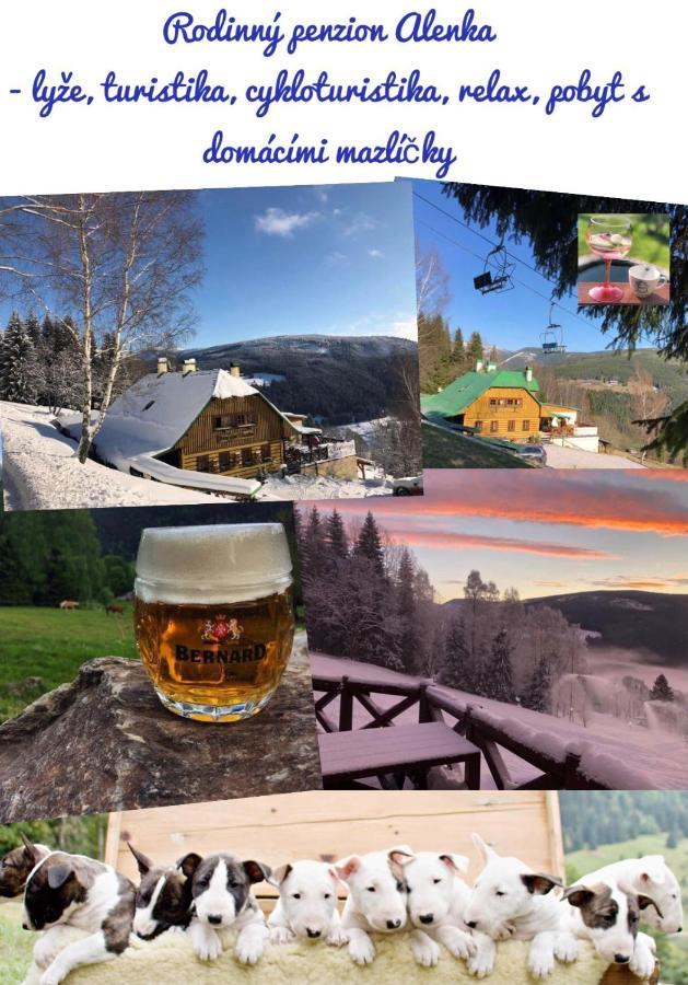 Penzion Alenka Špindlerŭv Mlýn 外观 照片