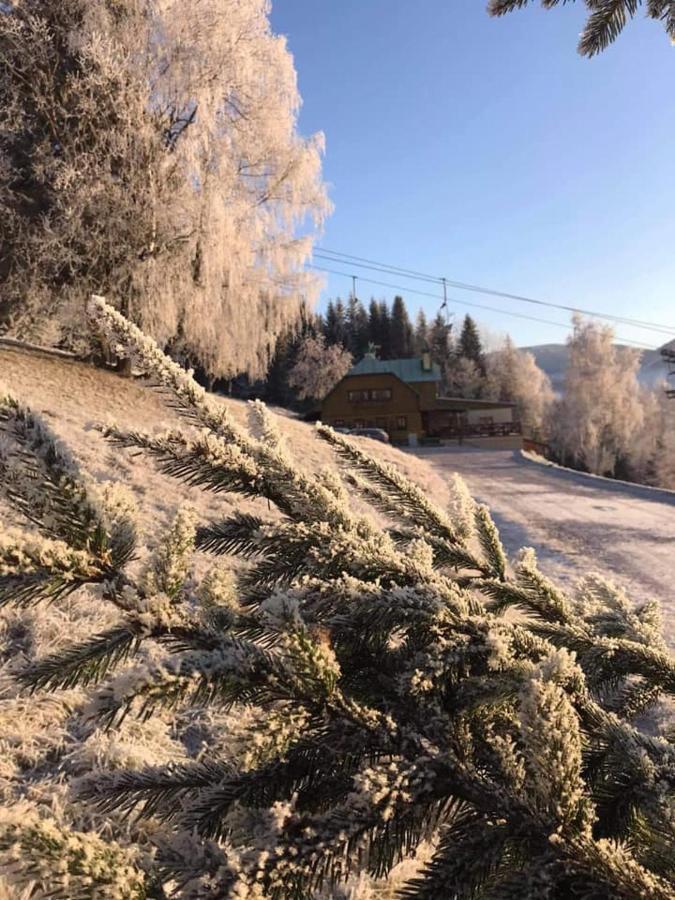 Penzion Alenka Špindlerŭv Mlýn 外观 照片